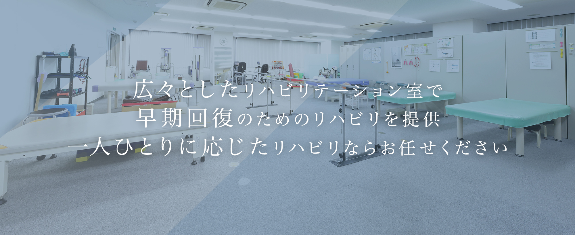 医療法人社団青龍会青戸整形外科